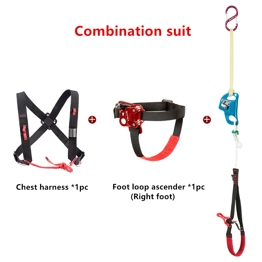 Xinda アウトドア ロッククライミング アセンダー ウォ - Outdoor Power Solutions のレビューと価格