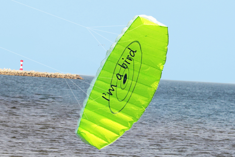 新しいアウトドアスポーツ 1.4m パワーデュアルライン パ - Outdoor Power Line のレビューと価格